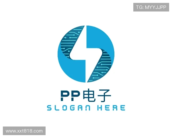 认识PP电子
